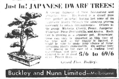 Buckley and Nunn Japanese Dwarf Trees ad in The Argus 22 Apr 1939